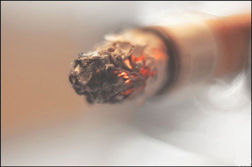 Максим Литовченко | Санкт-Петербург