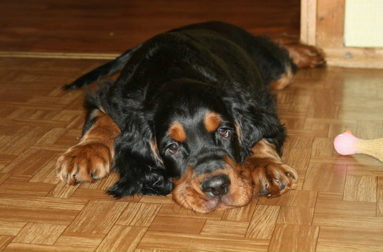 Екатерина Шалыгина | Санкт-Петербург