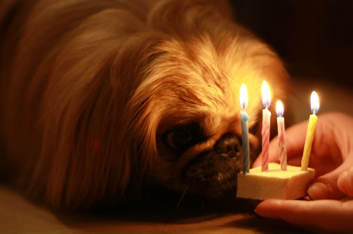 Дарья Матвеева | Клин