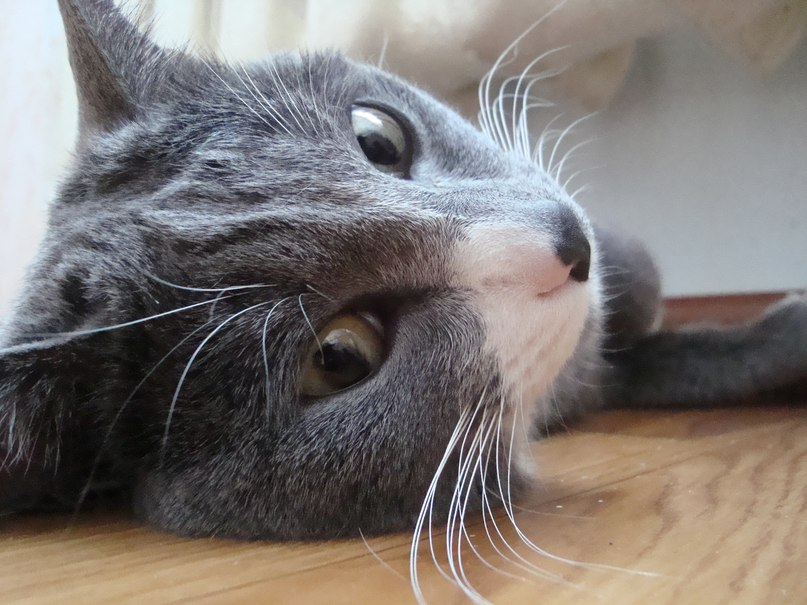 Валерий Лозямов | Березово