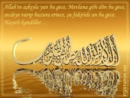 Фарида Джанын | 