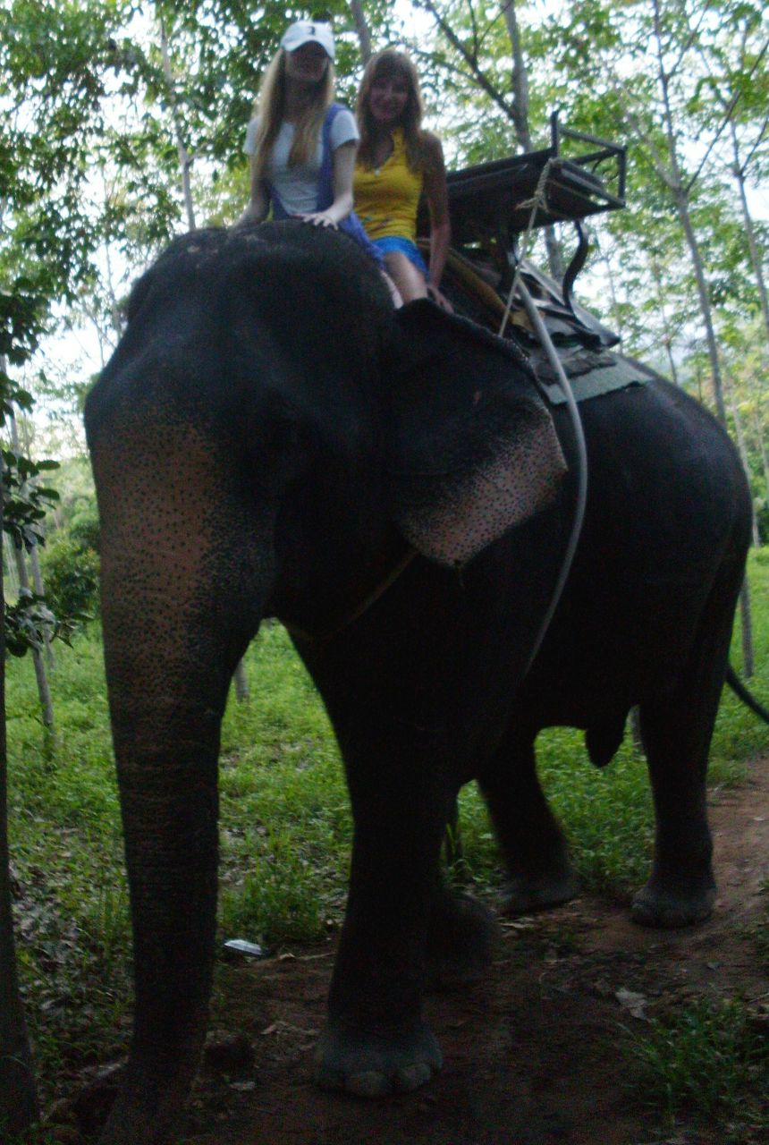 Елена Бурачкова | Ярославль