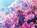 Ирина Ильичева фотография #7