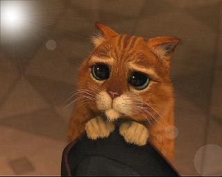 Дарья Тамбовцева | 