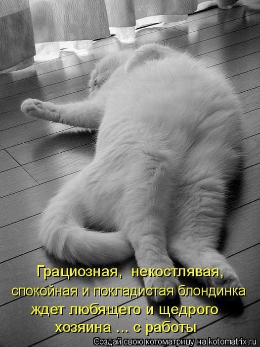 Ира Романько | Киев