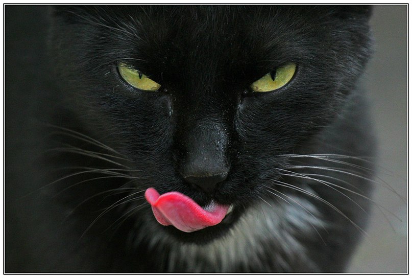 Максим Петров | 