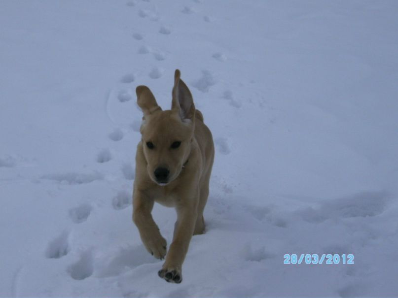 Инна Варламова | Подольск