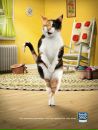 №23 Екатерина Королёва : профиль, фото, статус - ВКонтакте №23 Екатерина Королёва : профиль, фото, статус - ВКонтакте