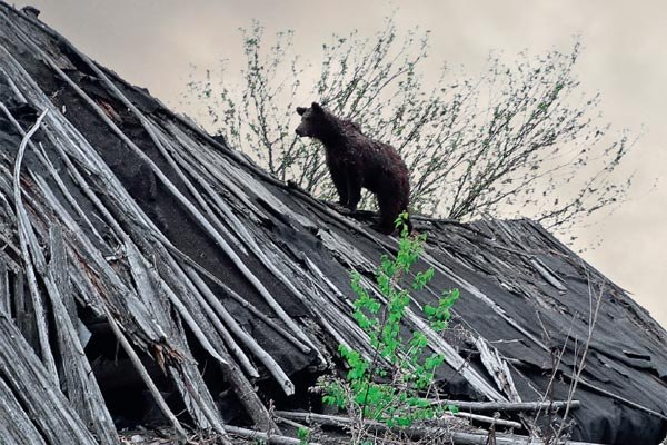 Сергей Бережной | Боргустанская