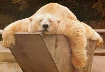 Юлия Цветкова | 