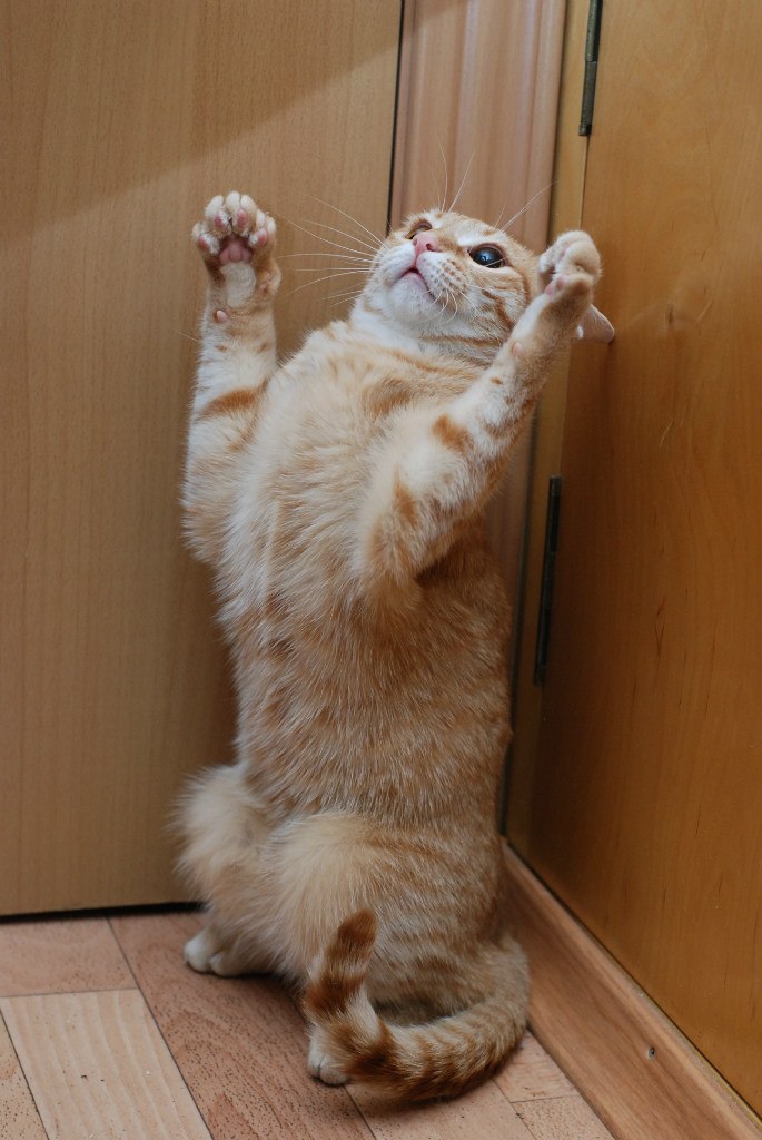 Дмитрий Яковлев | 