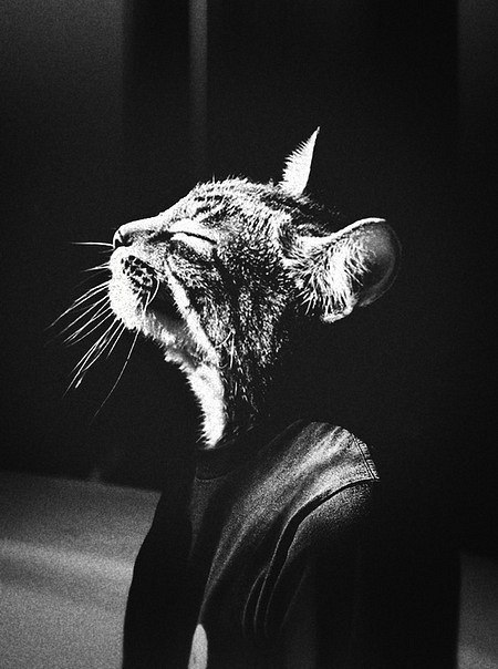 Виталий Пехтерев | 