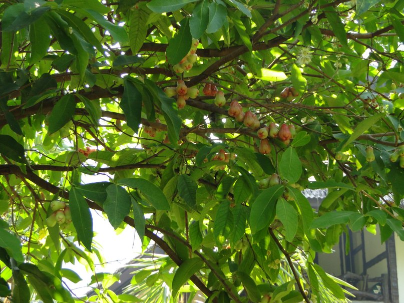 Екатерина Чугунова | Москва