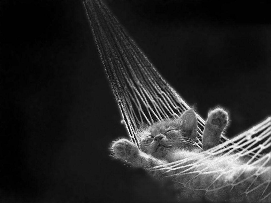 Камилла Измайлова | Волгоград