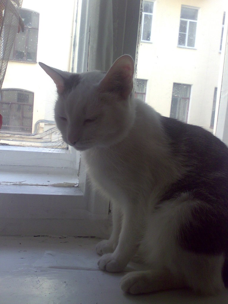 Тарлан Миркамиров Миркамирович | Санкт-Петербург