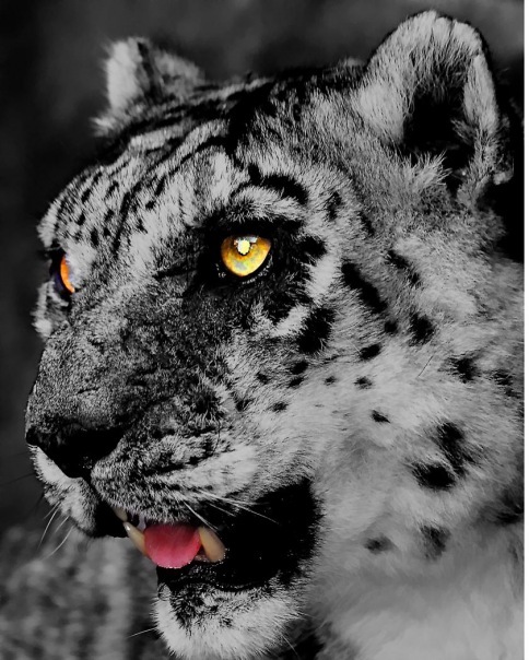 №165, Ирина Пономарёва, Северодвинск №165, Ирина Пономарёва, Северодвинск