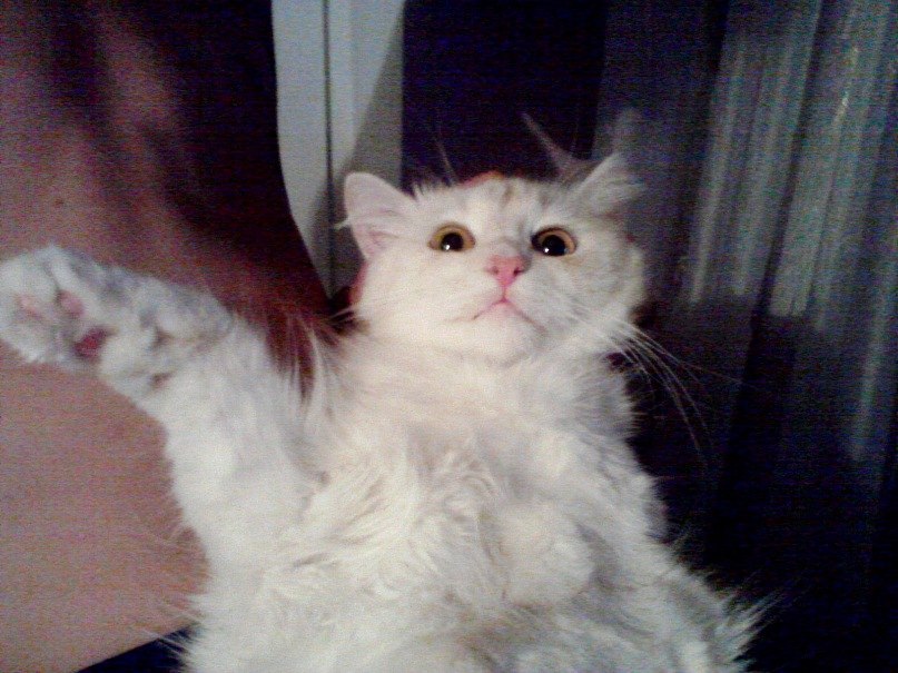 Виктория Чумак | Мариуполь