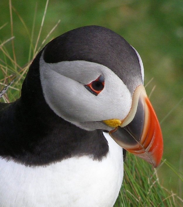 Дмитрий Шурин Krik | Москва