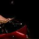 Дима Медведь | Столбцы