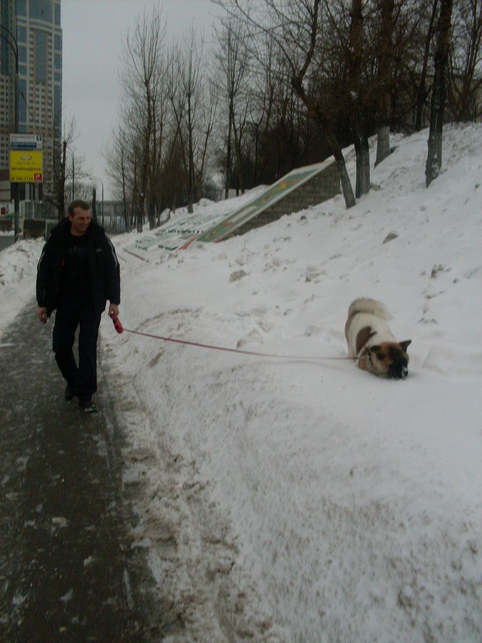 Светлана Брошко | Москва