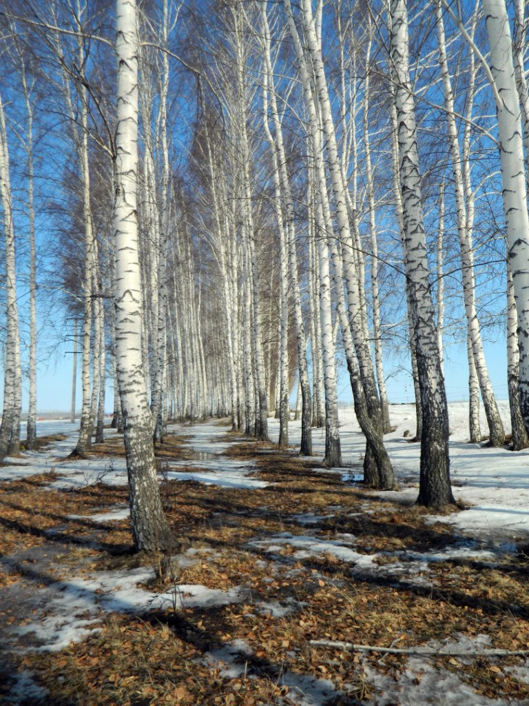 Зарина Юсупова | Уфа