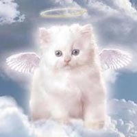 №141, Рома Левченко №141, Рома Левченко