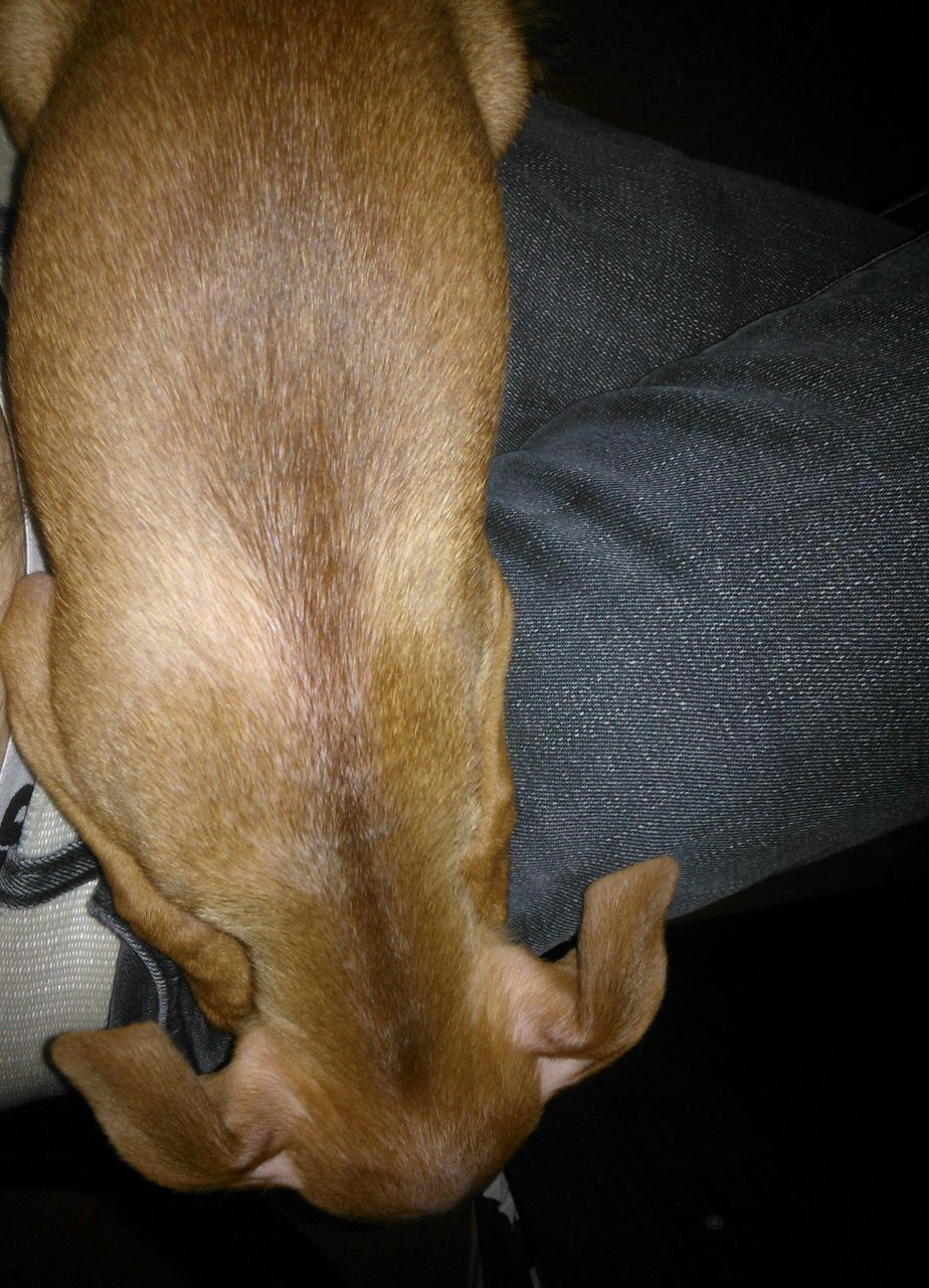 Стас Петров | Волгоград