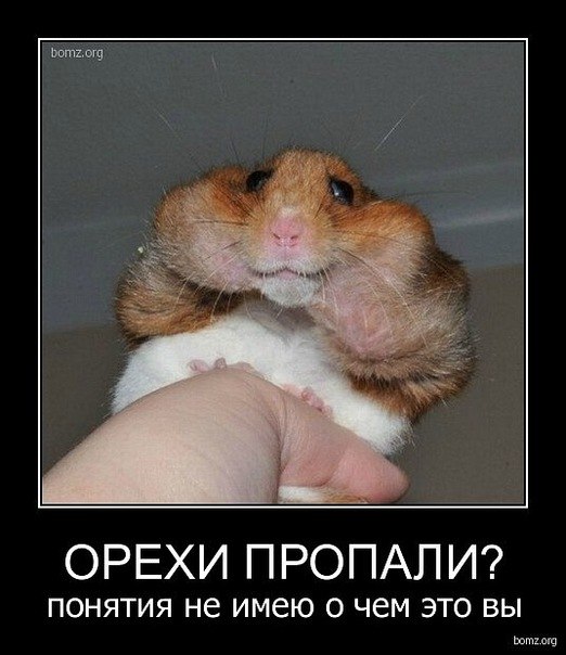 Anna Merk | Екатеринбург