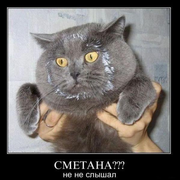 Илья Кораблев | Казань