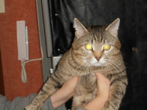 №72, Наталья Михайленко, 42 года, Троицк №72, Наталья Михайленко, 42 года, Троицк