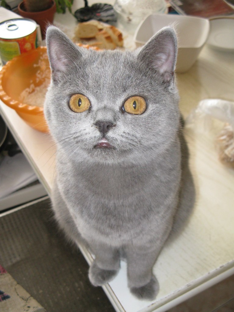 Людмила Тарабурина | Москва