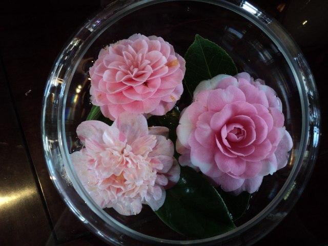 Julia Kondratiev | Ensenada