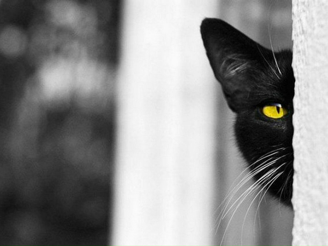 Ирина Подлипенская | Харьков