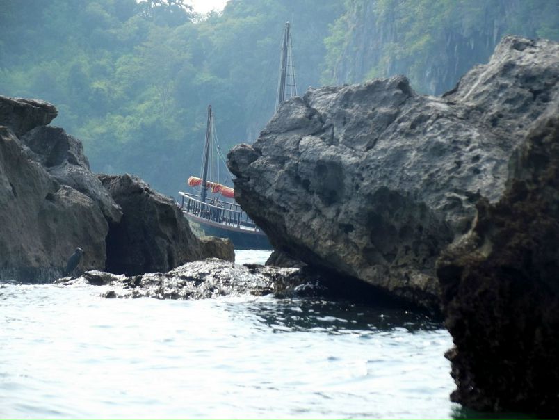 №65, Элина Солохина №65, Элина Солохина