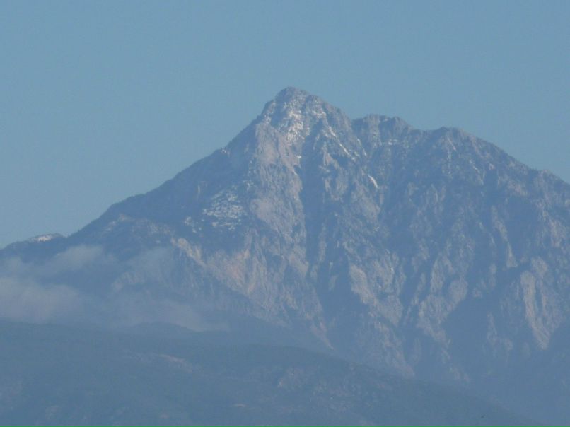 Виктор Цвигун | Одесса