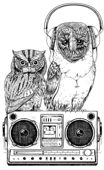 Эстебан Диас | Санкт-Петербург