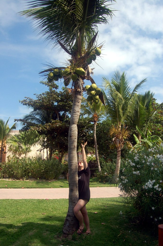 Мария Майгур | Тель-Авив