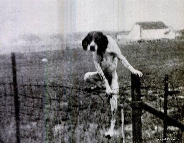 Алексей Карташов | Новосибирск