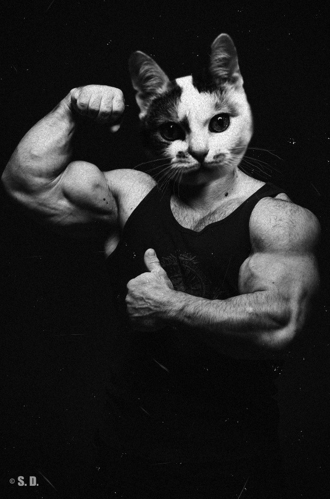 Илья Шаповал | Саратов