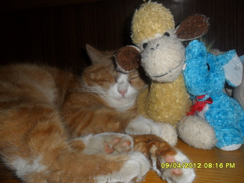 Татьяна Ваганова | Вышний Волочек