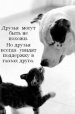 Лев Костенко фотография #3 (источник - https://vk.com/id42266)