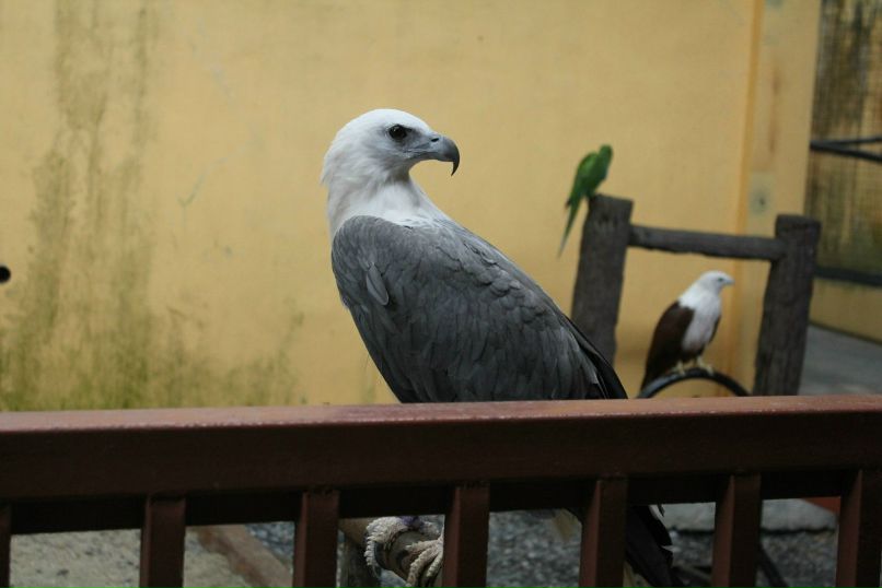 Гоша Проскуряков | Москва