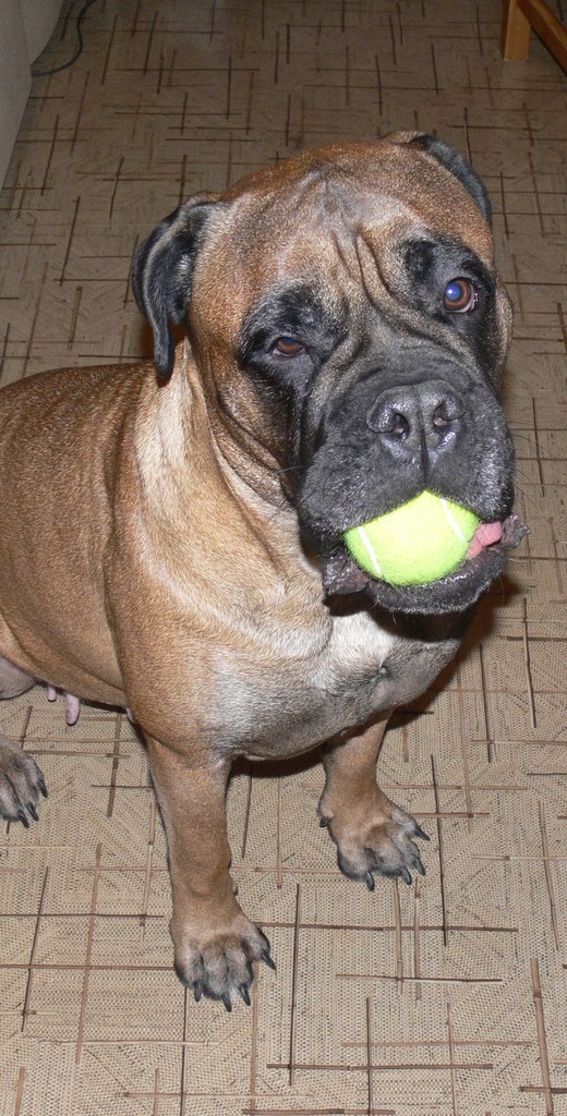 Артем Пульников | 