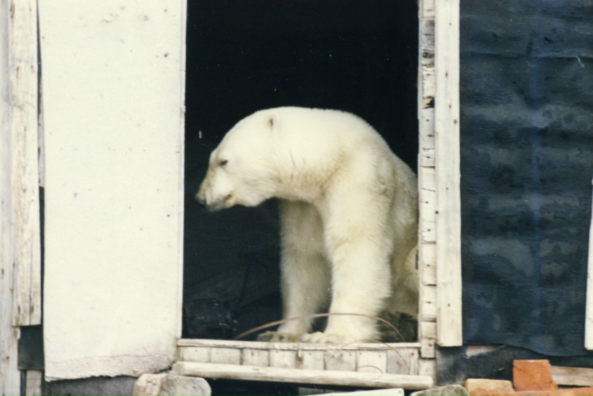 Артем Бабич | Эвенск