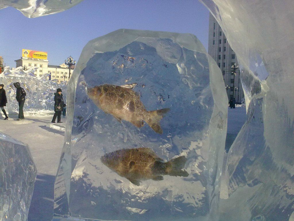 Настенка Карпова Romi-로미 | Южно-Сахалинск