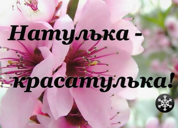 Открытки наташа ты супер, птицы