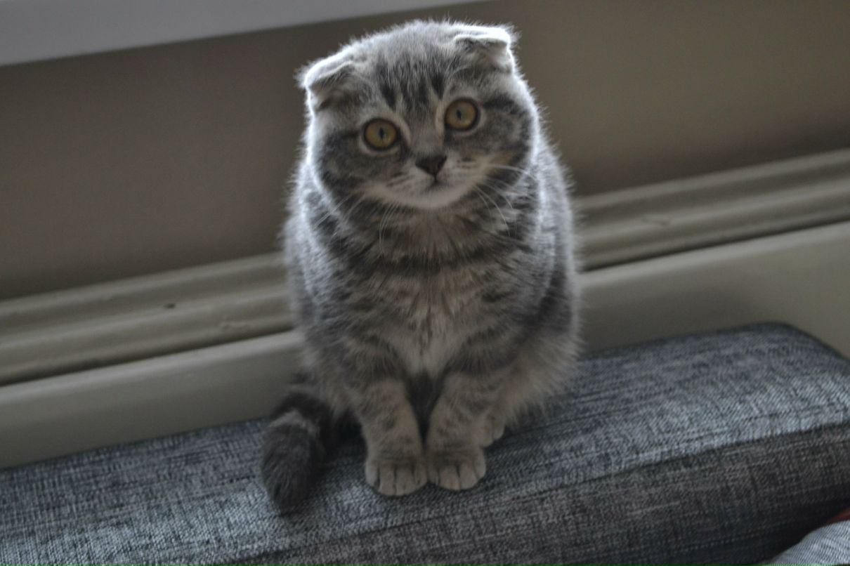 Маша Басова | Екатеринбург