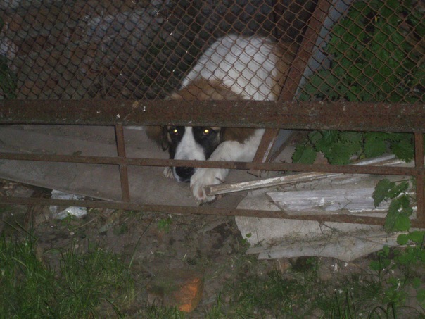 №46, Макс Ревера, 26 лет, Сумы №46, Макс Ревера, 26 лет, Сумы