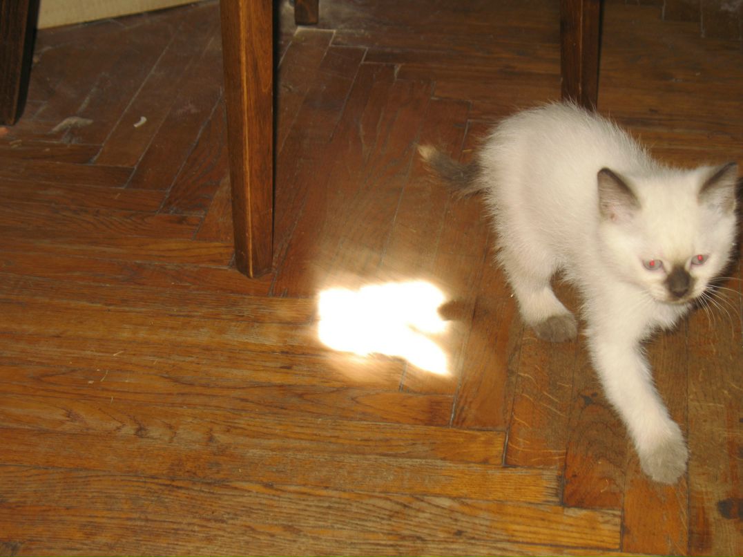 Людмила Алексеева | Санкт-Петербург