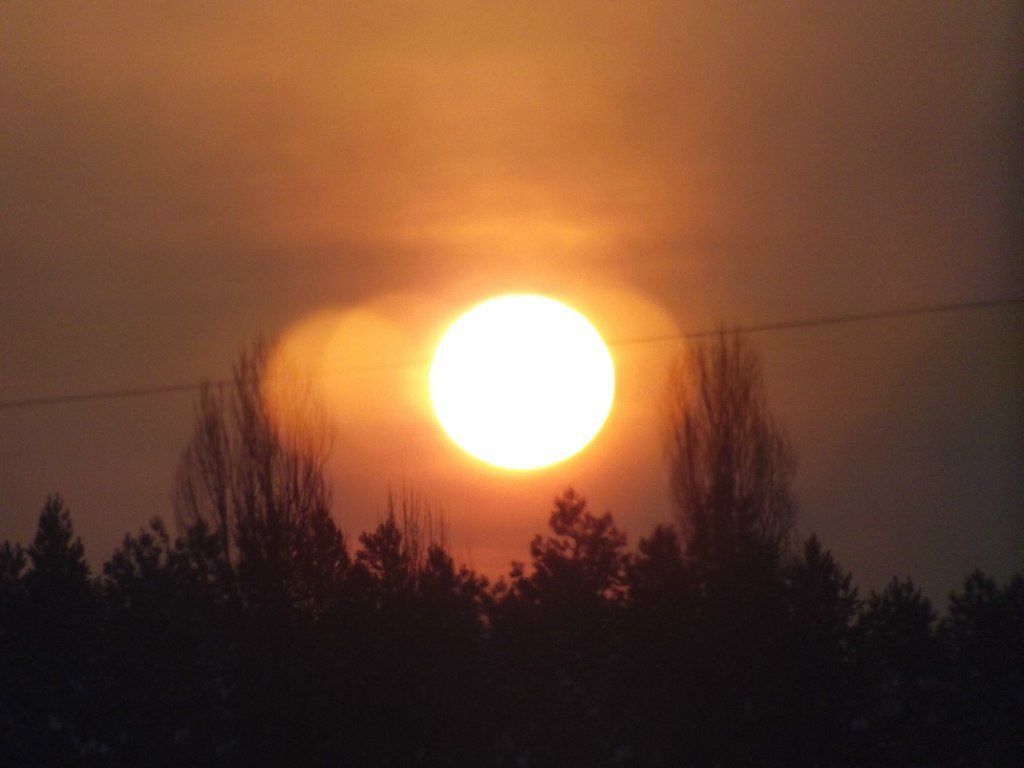 Ирина Голуб | Киев